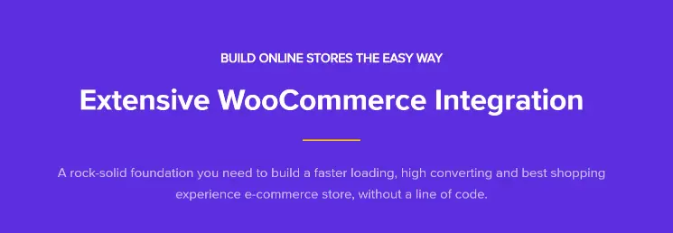 Astra woocommerce integration